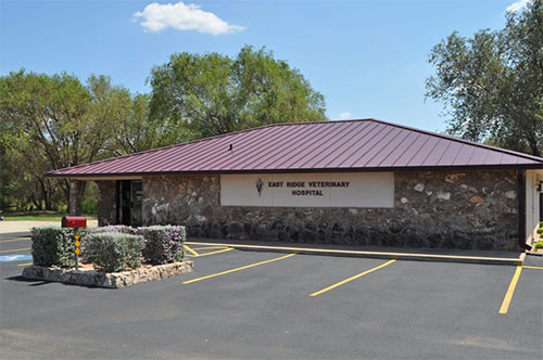 East Ridge Veterinary Hospital - Veterinarian in Sweetwater, TX US